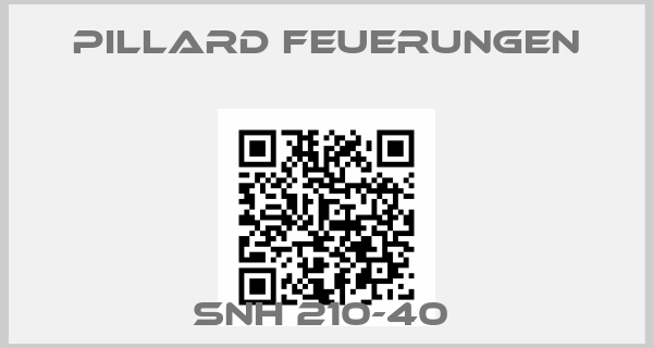 Pillard Feuerungen-SNH 210-40 