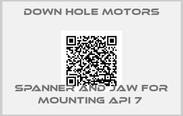 Down Hole Motors-SPANNER AND JAW FOR MOUNTING API 7 