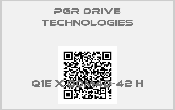 PGR Drive Technologies-Q1E X 80M4D-42 H