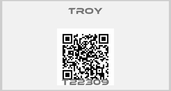 Troy-T22309