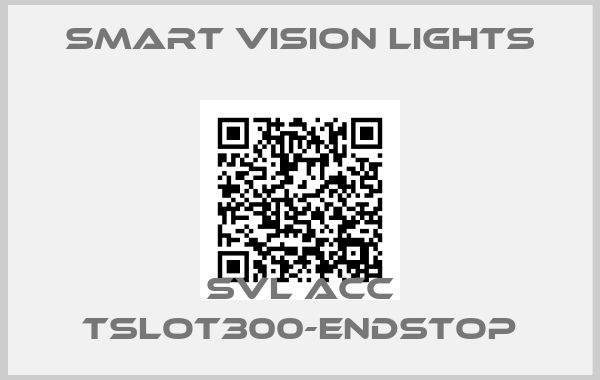 Smart Vision Lights-SVL ACC TSLOT300-ENDSTOP