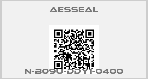 Aesseal-N-B09U-DDY1-0400