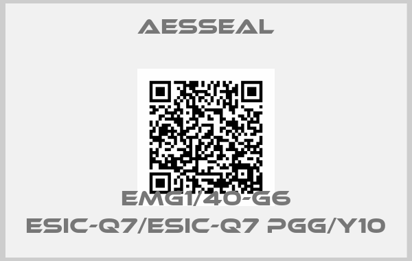 Aesseal-EMG1/40-G6 ESIC-Q7/ESIC-Q7 PGG/Y10