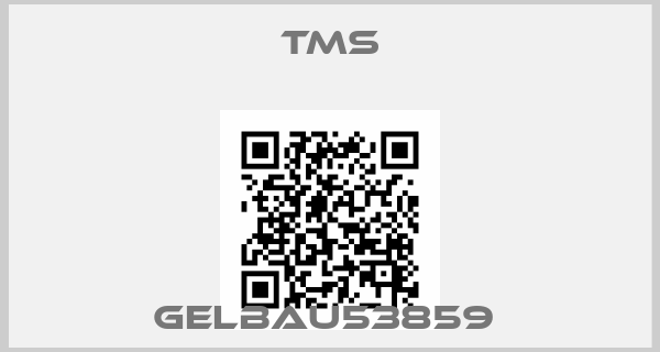 TMS-GELBAU53859 