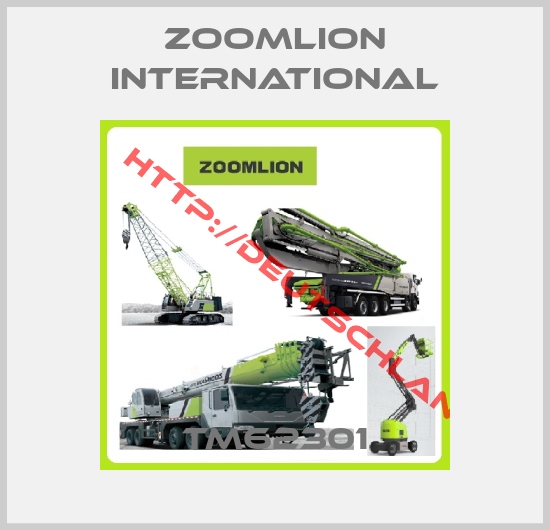 Zoomlion International-TM62301