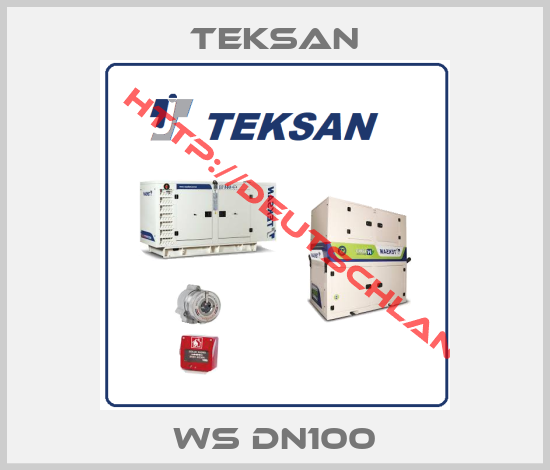 TEKSAN-WS DN100