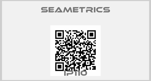 Seametrics-IP110