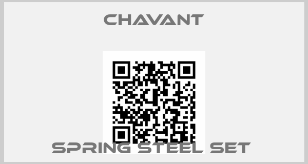 Chavant-SPRING STEEL SET 
