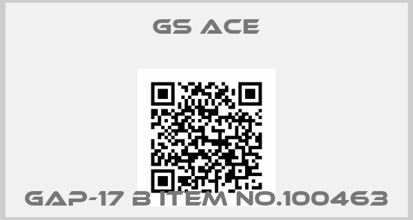 GS ACE-GAP-17 B Item no.100463