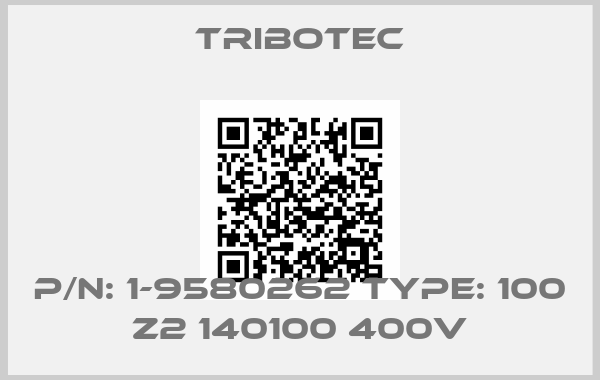 Tribotec-P/N: 1-9580262 Type: 100 Z2 140100 400V