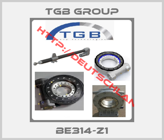 TGB GROUP-BE314-Z1