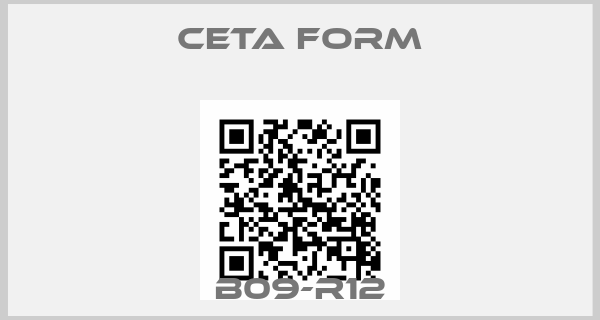 CETA FORM-B09-R12