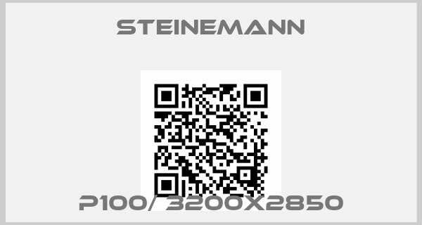 Steinemann-P100/ 3200x2850