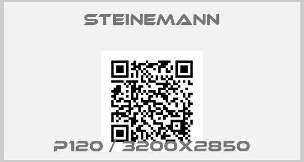 Steinemann- P120 / 3200x2850