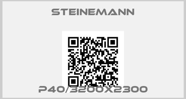 Steinemann- P40/3200x2300
