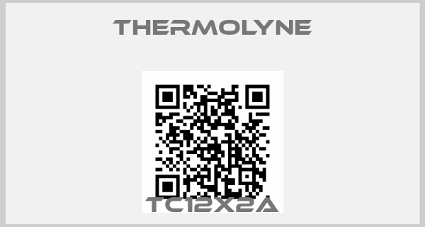 THERMOLYNE-TC12X2A