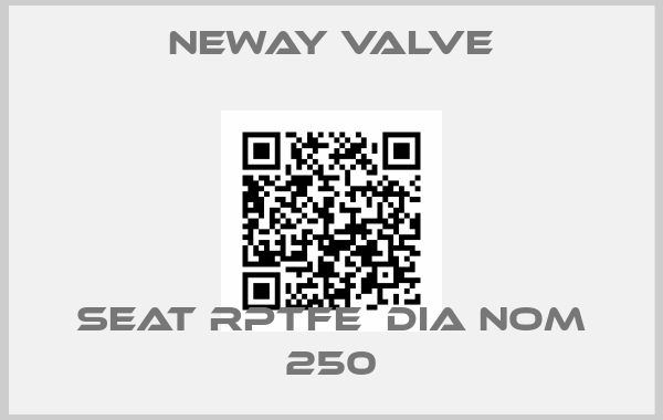 Neway Valve-SEAT RPTFE  DIA NOM 250