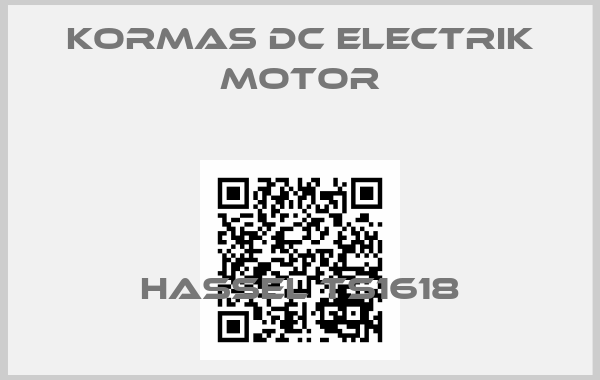 KORMAS DC ELECTRIK MOTOR-Hassel TS1618
