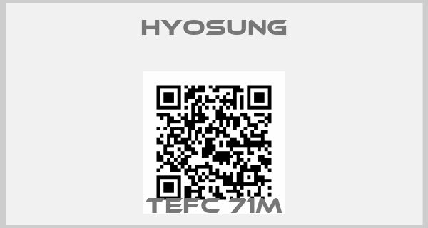 Hyosung-TEFC 71M