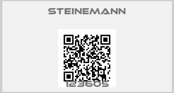 Steinemann-123605