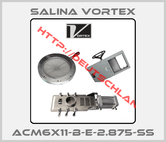 SALINA VORTEX-ACM6X11-B-E-2.875-SS