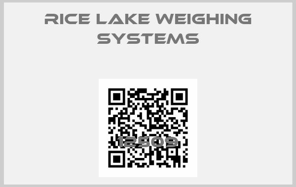 RICE LAKE WEIGHING SYSTEMS-12509