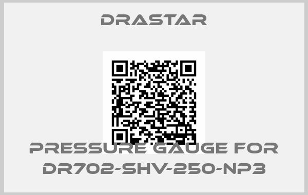 DRASTAR-Pressure gauge for DR702-SHV-250-NP3