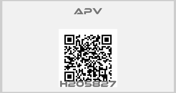 APV-H205827