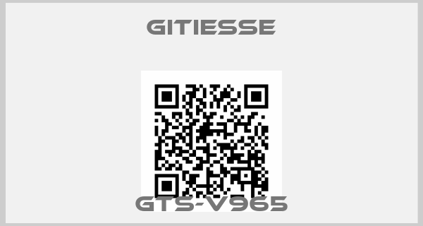 Gitiesse-GTS-V965