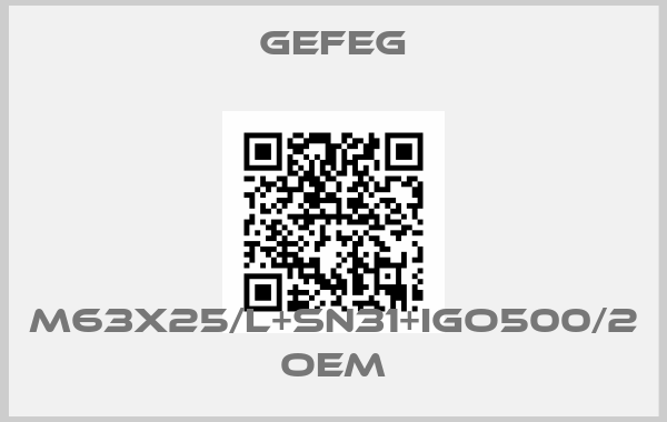 Gefeg-M63x25/l+sn31+igo500/2 OEM