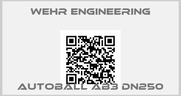 Wehr Engineering-autoball AB3 DN250