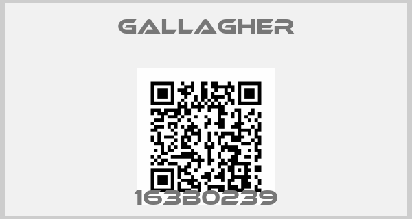 Gallagher-163B0239