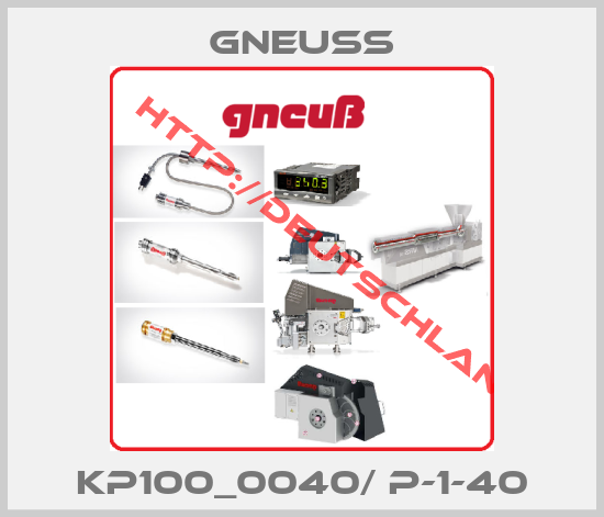 Gneuss-KP100_0040/ P-1-40