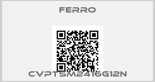 Ferro-CVPTSM2416G12N