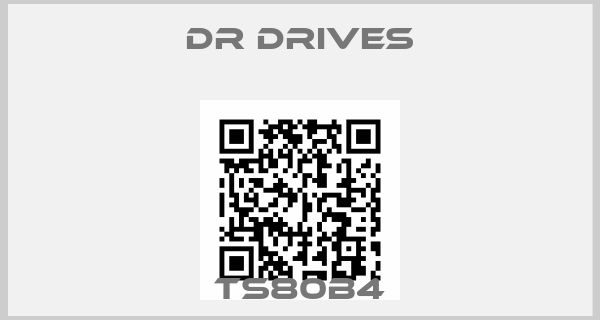 DR drives-TS80B4