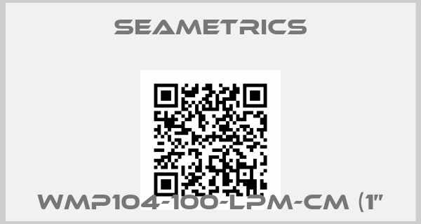 Seametrics-WMP104-100-LPM-CM (1”