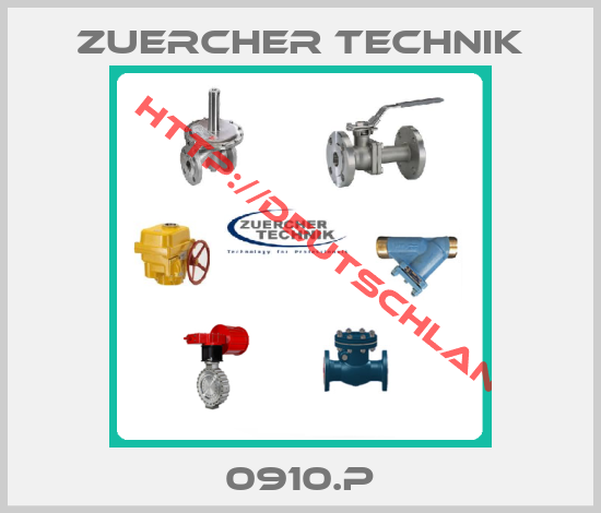 Zuercher Technik-0910.P