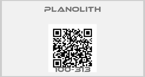 Planolith-100-313