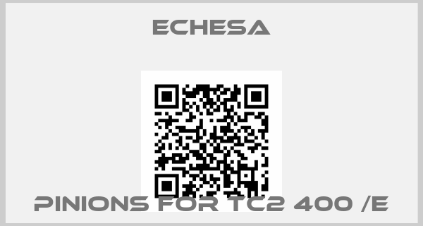 Echesa-pinions for TC2 400 /E
