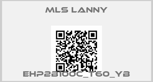 MLS Lanny-EHP2B100C_T60_YB
