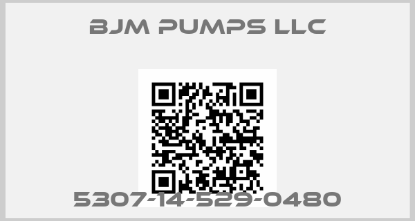 Bjm Pumps Llc-5307-14-529-0480