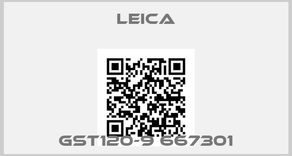 Leica- GST120-9 667301