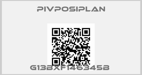 Pivposiplan-G13BXF146345B 