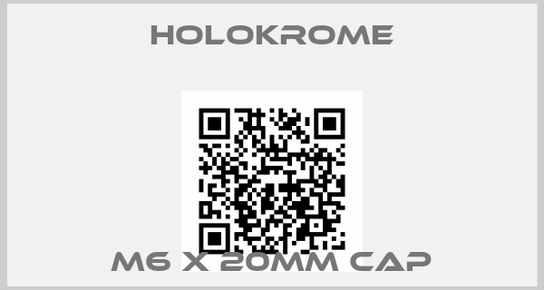 Holokrome-M6 x 20mm cap