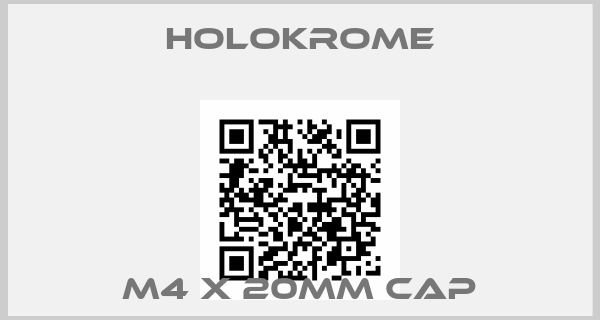 Holokrome-M4 X 20mm cap