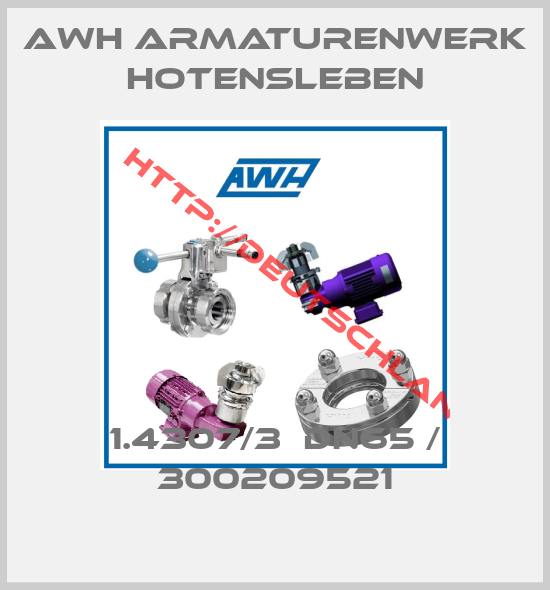 AWH Armaturenwerk Hotensleben-1.4307/3  DN65 / 300209521