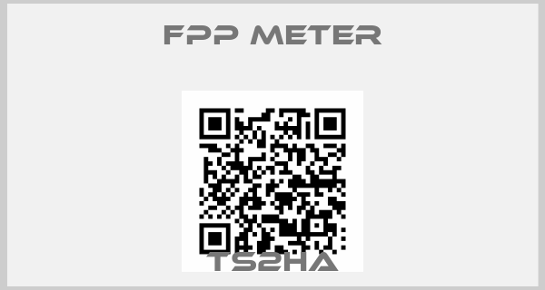 FPP METER-TS2HA