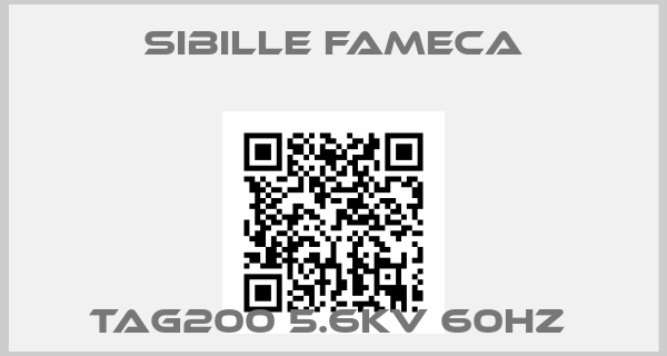 Sibille Fameca-TAG200 5.6KV 60HZ 