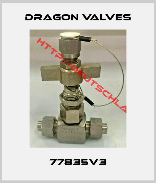 Dragon Valves-77835V3