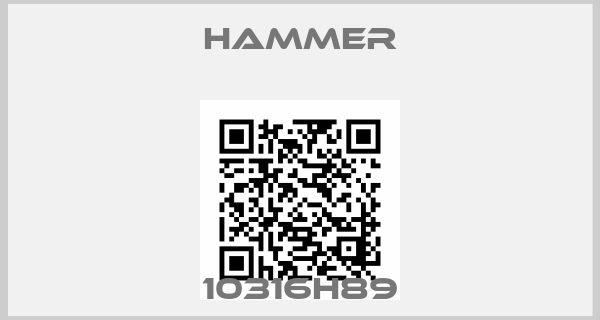 HAMMER-10316H89